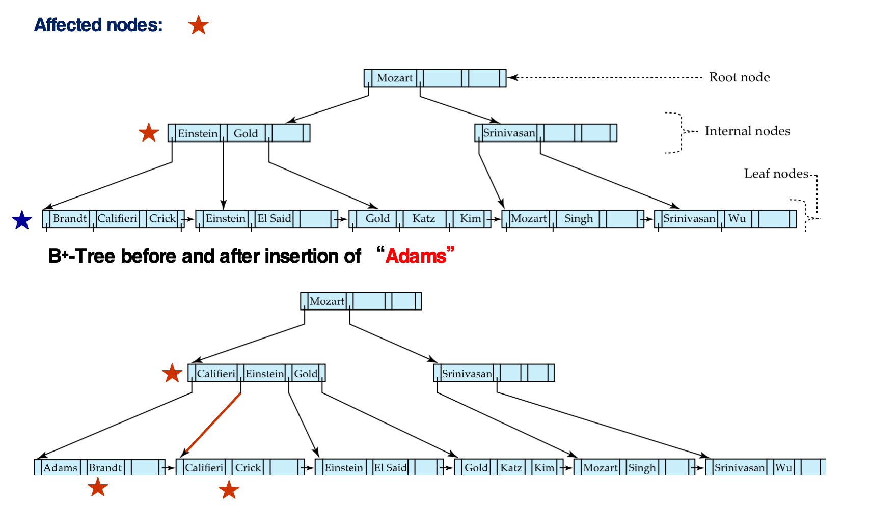 B+-tree insertion of Adams