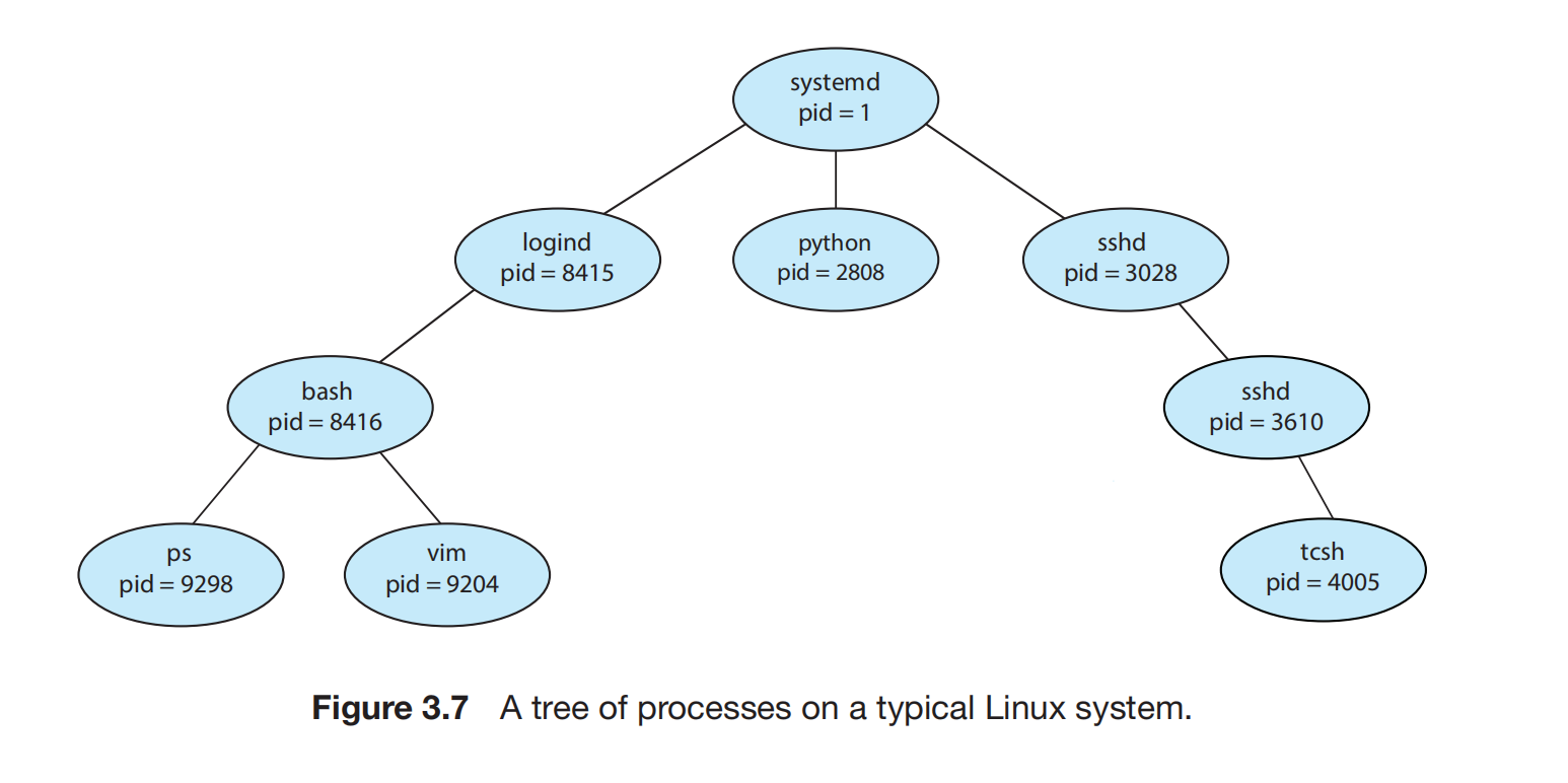 A tree of processes on a typical Solaris system